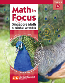 Math in Focus Course 1